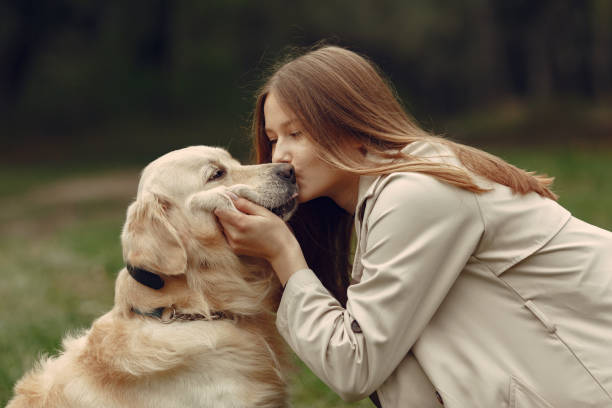 istock Woman walks in autumn forest with a dog 1293536697