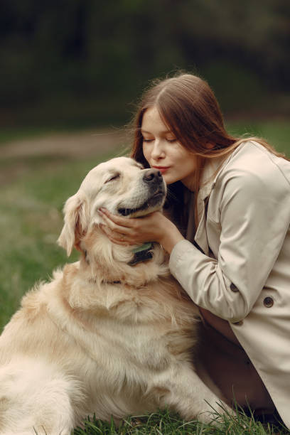 istock Woman walks in autumn forest with a dog 1293536698