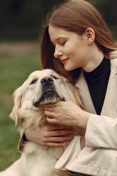 istock Woman walks in autumn forest with a dog 1293536710