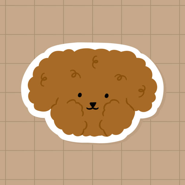 ilustrações de stock, clip art, desenhos animados e ícones de cute toy poodle dog illustration sticker - standard poodle