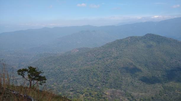 istock Ponmudi hill station Thiruvananthapuram, Kerala landscape view 1293538347