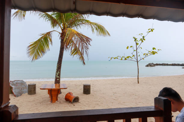 istock Calm beach atmosphere with palm tree and several wooden chairs and tables. 1293538392