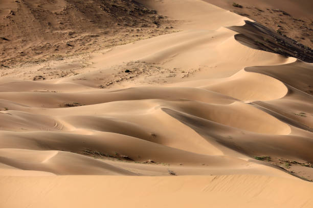 dune di sabbia del deserto di badain jaran, mongolia interna, cina - arid climate asia color image day foto e immagini stock