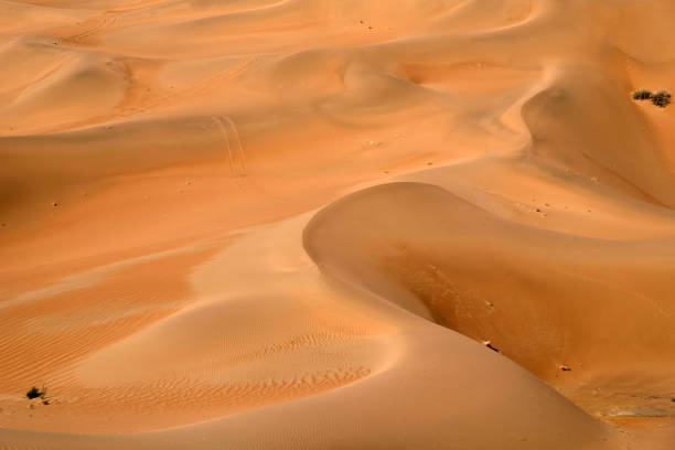 istock Badain Jaran desert sand dunes, Inner Mongolia, China 1293539086