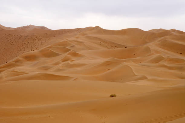 istock Badain Jaran desert sand dunes, Inner Mongolia, China 1293539149