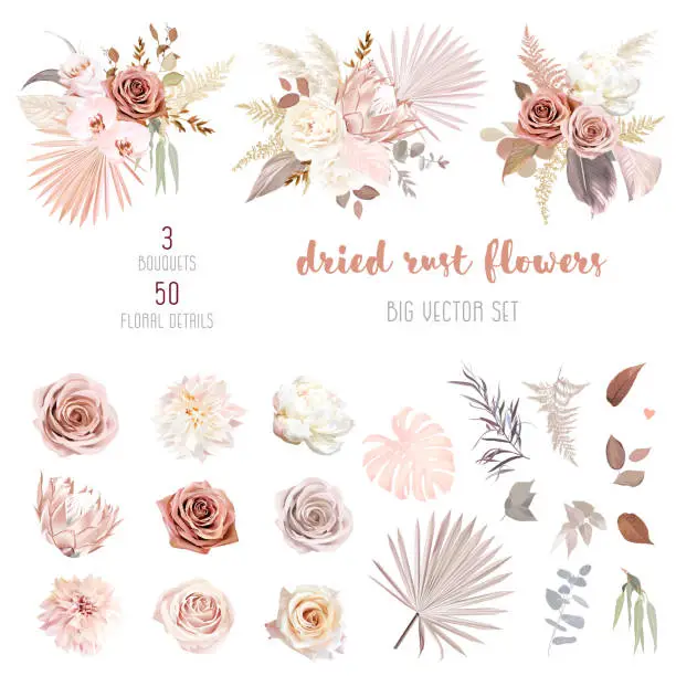 Vector illustration of Trendy dried palm leaves, blush pink and rust rose, pale protea