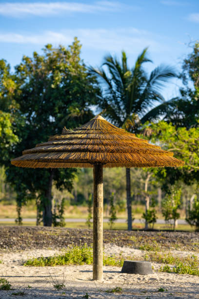 istock Tropical palm frond umbrella tahiti style 1293548307