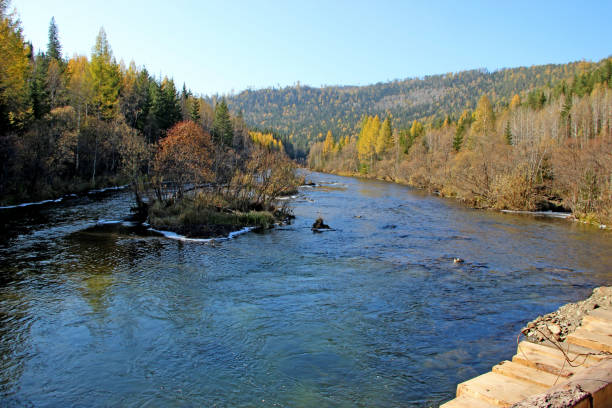 istock Autumn landscape where the fast mountain river flows between wooded hills. View from above. 1293549718