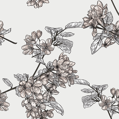 Beautiful vintage line art of the branches of a crabapple tree that form a seamless pattern.