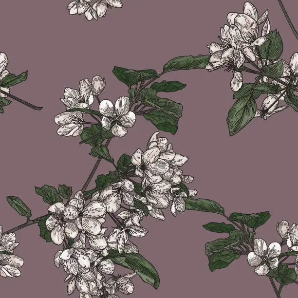 Vector illustration of Seamless Crabapple Blossom Tree Pattern