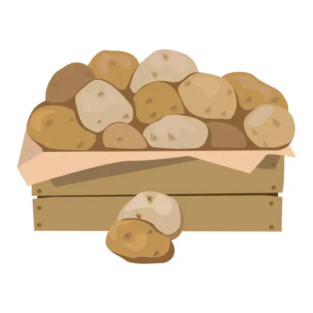 Vector illustration of Potatoes in a wooden box. Vector illustration. Isolated on a white background.