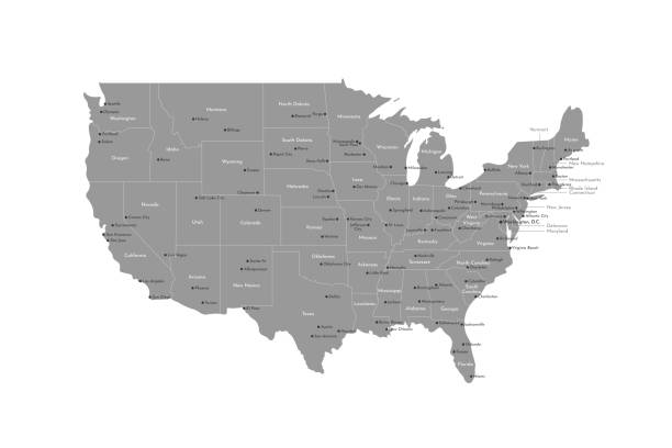 ベクター分離図。米国の簡素化された管理地図。州といくつかの大きくて首都のアメリカの都市の名前。白の背景と地図の輪郭、灰色の形状 - washington state state map outline点のイラスト素材／クリップアート素材／マンガ素材／アイコン素材