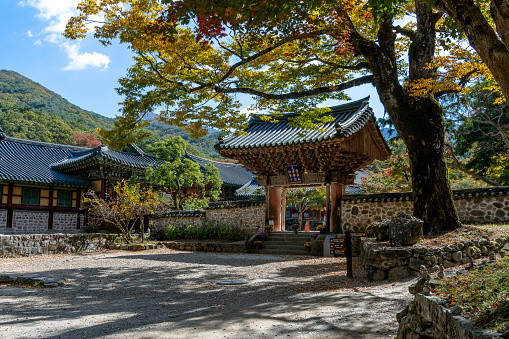 Song Kwangsa, South Korea