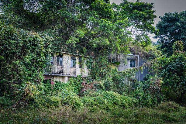 Abandoned old house covered with leaves and green, countryside of Hong Kong, daytime Abandoned old house covered with leaves and green, countryside of Hong Kong, daytime abandoned place stock pictures, royalty-free photos & images