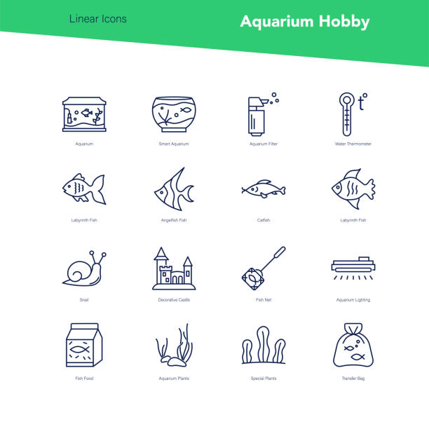 ilustraciones, imágenes clip art, dibujos animados e iconos de stock de conjunto de banners vectoriales de iconos lineales, hobby de acuario - cleaning fish animal snail