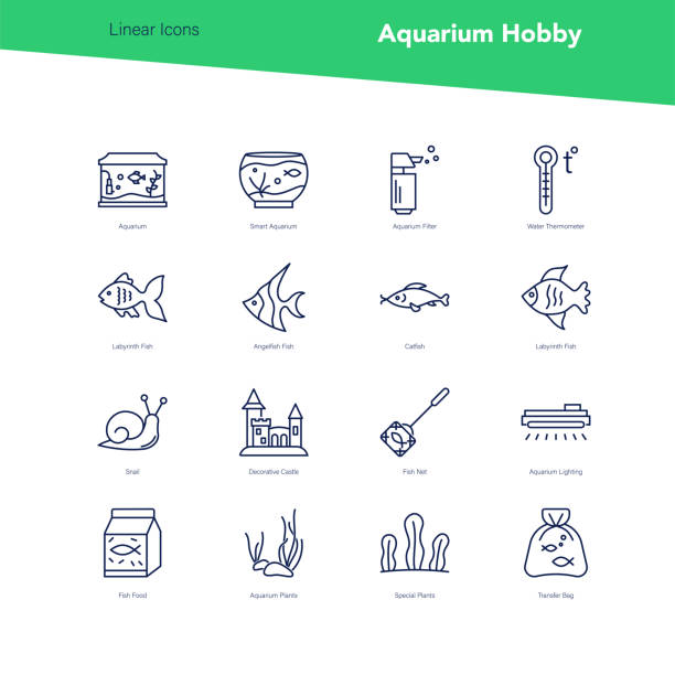 Vector banner set of linear icons, aquarium hobby Vector banner set of linear icons, aquarium hobby. Accessories and equipment for filling the aquarium. Varieties of fish. Decorations and special food for pets. Water thermometer and filter gold fish tank stock illustrations