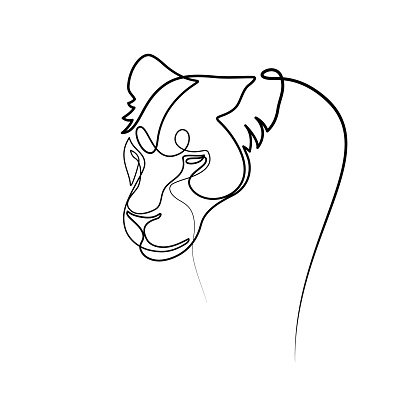 Lioness portrait in continuous line art drawing style. Panther black linear sketch isolated on white background. Vector illustration