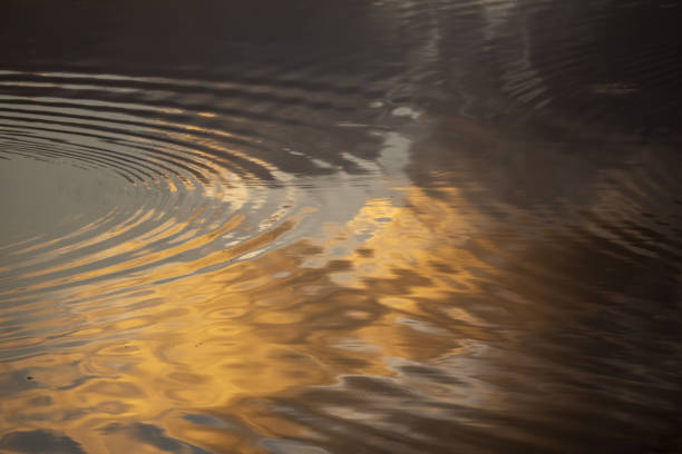 istock Cloudy sunrise colors reflecting on water surface with circular ripples 1293573260