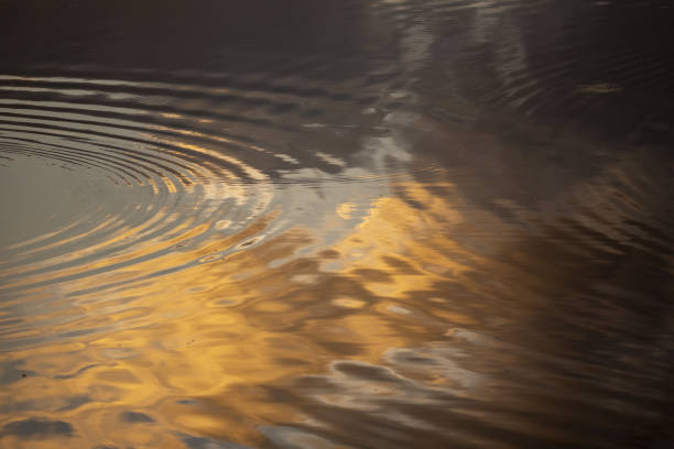 istock Cloudy sunrise colors reflecting on water surface with circular ripples intersecting 1293574277