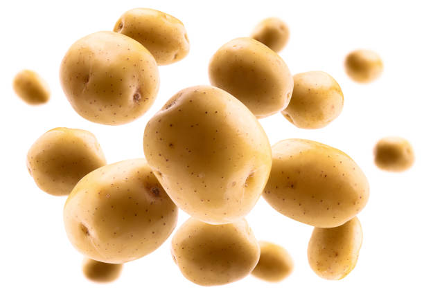 istock Golden potatoes levitate on a white background 1293574962