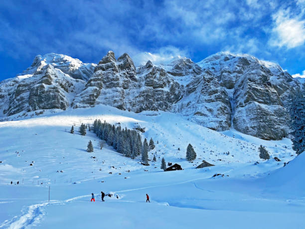 Mystical winter atmosphere on the Alpstein range in Appenzell Alps massif, Schwägalp mountain pass - Canton of Appenzell Ausserrhoden, Switzerland (Kanton Appenzell, Schweiz) stock photo