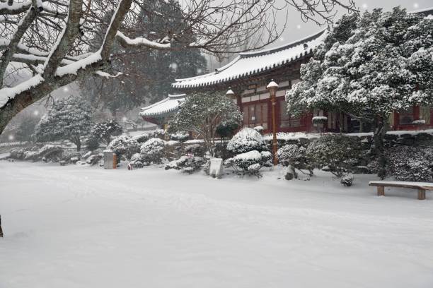 istock VH538 _a snowy landscape 1293577028