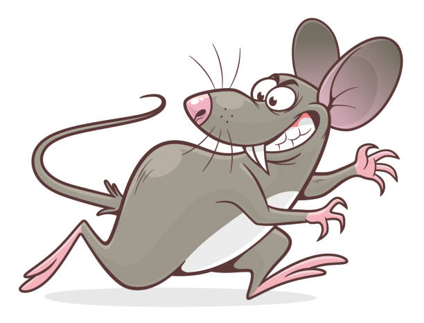Rat Mouse Cartoon Evil Illustrations, Royalty-Free Vector Graphics & Clip  Art - iStock