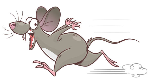 illustrazioni stock, clip art, cartoni animati e icone di tendenza di topo in esecuzione spaventato - ratto