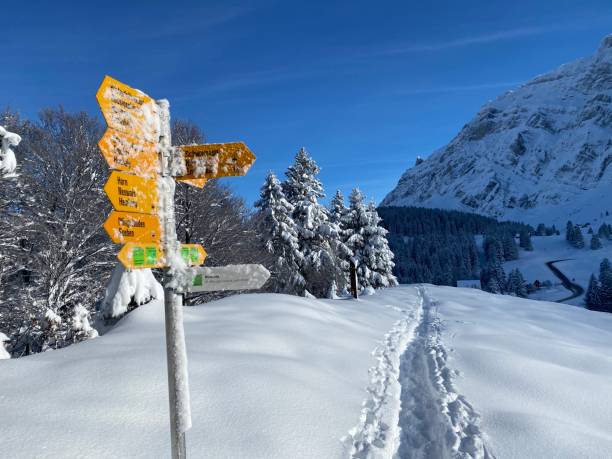Wonderful winter hiking trails and traces on the fresh alpine snow cover of the Swiss Alps, Schwägalp mountain pass - Canton of Appenzell Ausserrhoden, Switzerland (Kanton Appenzell, Schweiz) stock photo