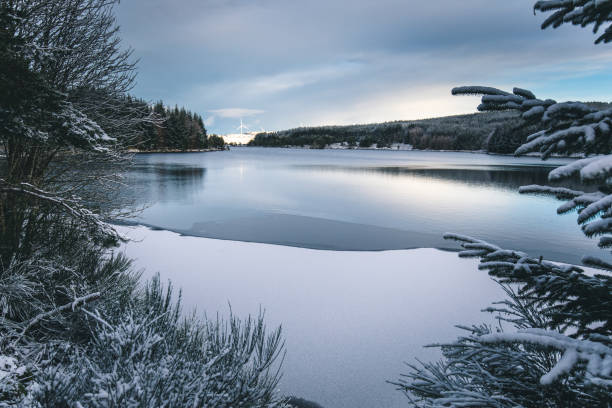 istock Loch Kennard Griffin Forest Aberfeldy Perthshire Scotland 1293578456