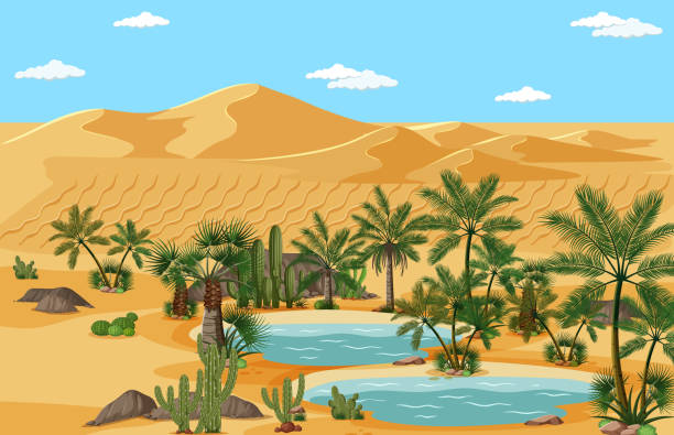 illustrations, cliparts, dessins animés et icônes de oasis de désert avec des paumes et la scène de paysage de nature de catus - catus