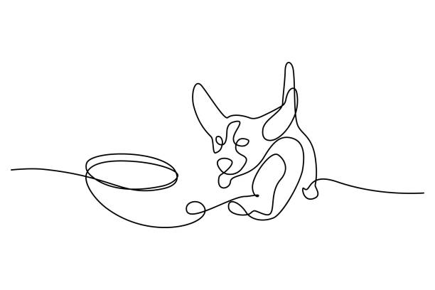 disc-hund - agility stock-grafiken, -clipart, -cartoons und -symbole