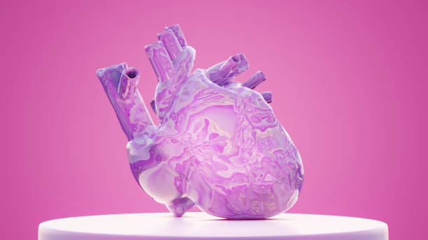 istock bright shiny unusual colored anatomical heart on stand, 3d render 1293583128