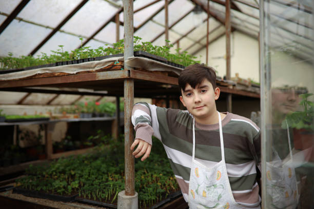 istock Boy with an apron standing in glasshouse 1293583928