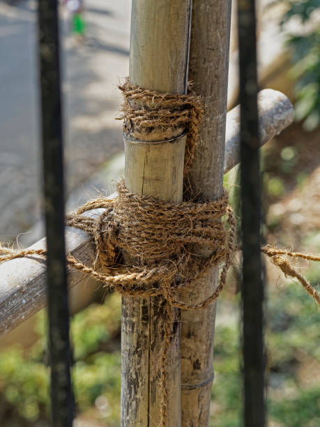 istock Coconut coir rope tightly tied with Bamboo Scaffolding on building 1293584015