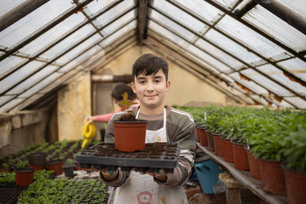 istock Young boy working in greenhouse farm 1293585265