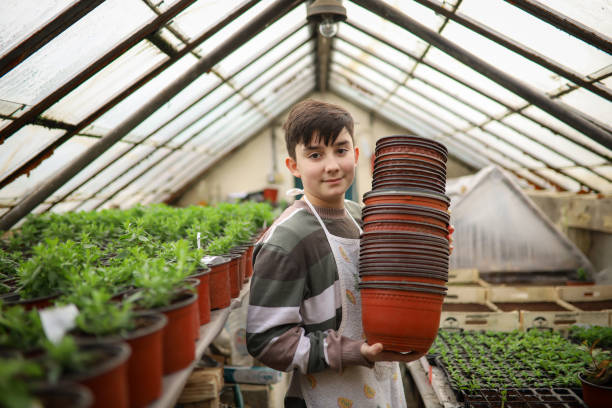 istock Young boy working in greenhouse farm 1293585274