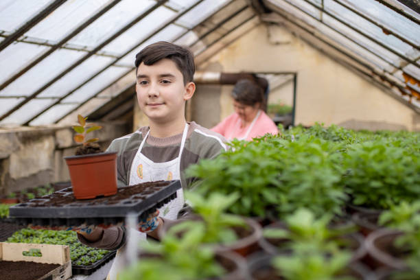 istock Young boy working in greenhouse farm 1293585279