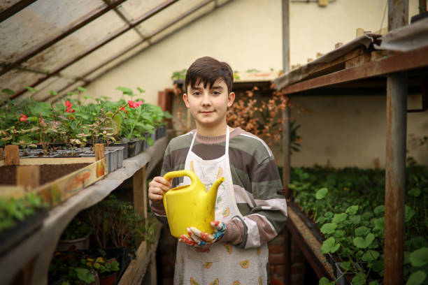 istock Young boy working in greenhouse farm 1293585315