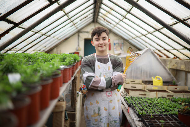 Young boy working in greenhouse farm Portrait of young teenage boy planting and farming in green house. rosemary seedlings stock pictures, royalty-free photos & images
