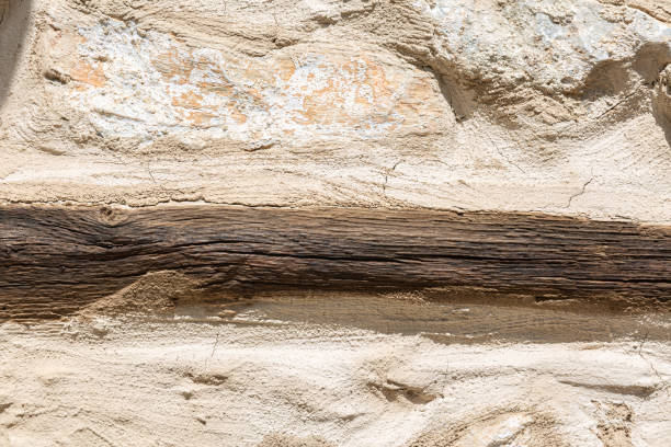 istock Details from wall of old house 1293585366