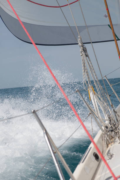 istock Sailing in the Bahamas 1293586221