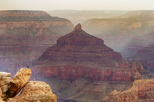 On the South Rim of the Grand Canyon