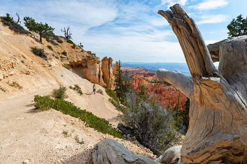 At Bryce Canyon National Park, Peek-a-boo trail