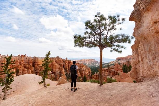 Traveling in USA Southwest: At Bryce Canyon National Park, Peek-a-boo trail Traveling in USA Southwest: At Bryce Canyon National Park, Peek-a-boo trail south rim stock pictures, royalty-free photos & images