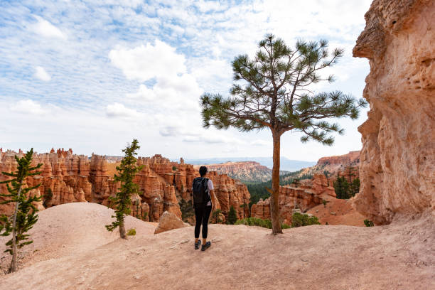 viajando no sudoeste dos eua: no parque nacional bryce canyon, trilha peek-a-boo - south rim - fotografias e filmes do acervo