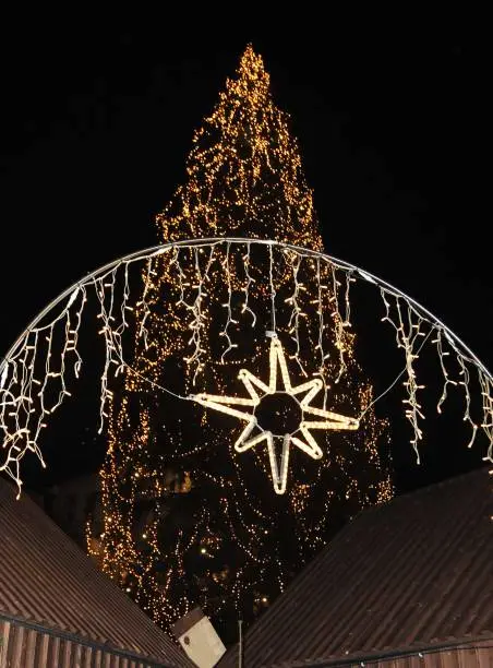 Photo of christmas star in advent and holiday season