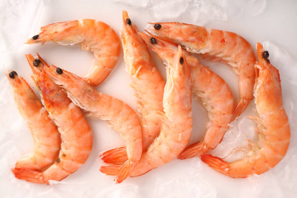Big fresh orange shrimps on ice white background. Flat lay.