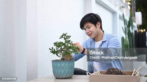 Portrait Of Happy Gardener Holding Special Scissors Pruning Wood Branches Bonsai At Home Stock Photo - Download Image Now