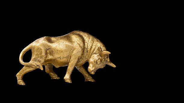 istock metal golden bull isolated on black background 1293593408